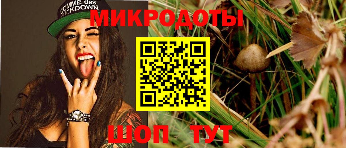 Псилоцибиновые грибы Cubensis  Галлюциногенные грибы MAGIC MUSHROOMS  Юрга  Вход с VPN 