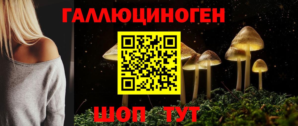 Галлюциногенные грибы мицелий Юрга
